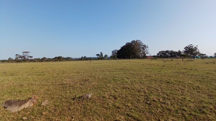 Commercial Property for Sale in Bathurst Eastern Cape